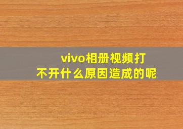 vivo相册视频打不开什么原因造成的呢