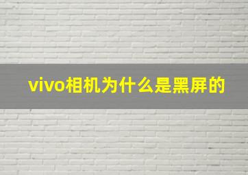 vivo相机为什么是黑屏的