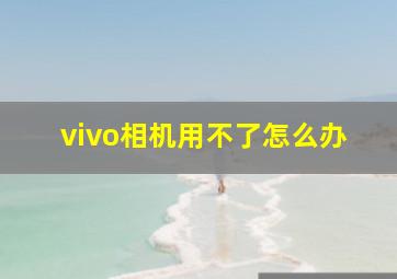 vivo相机用不了怎么办