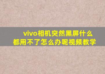 vivo相机突然黑屏什么都用不了怎么办呢视频教学