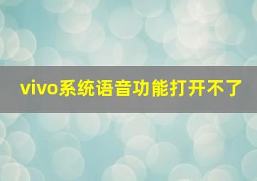 vivo系统语音功能打开不了