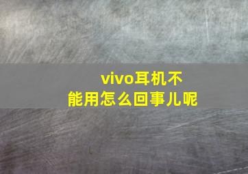 vivo耳机不能用怎么回事儿呢