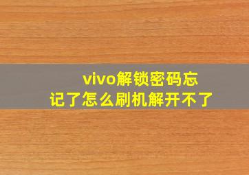 vivo解锁密码忘记了怎么刷机解开不了