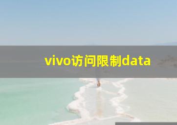 vivo访问限制data