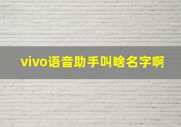 vivo语音助手叫啥名字啊