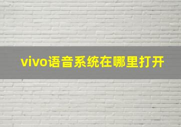 vivo语音系统在哪里打开