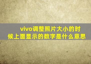 vivo调整照片大小的时候上面显示的数字是什么意思