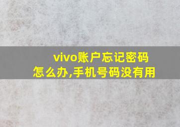 vivo账户忘记密码怎么办,手机号码没有用