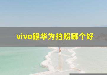 vivo跟华为拍照哪个好