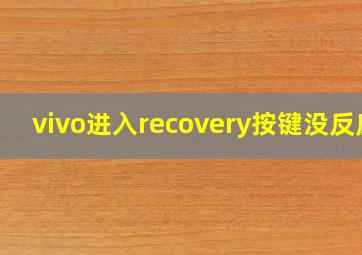 vivo进入recovery按键没反应