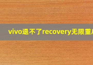 vivo退不了recovery无限重启