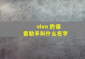 vivo 的语音助手叫什么名字