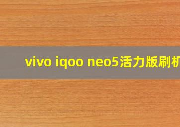 vivo iqoo neo5活力版刷机