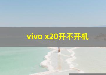 vivo x20开不开机