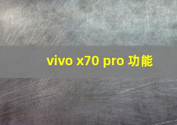 vivo x70 pro+功能