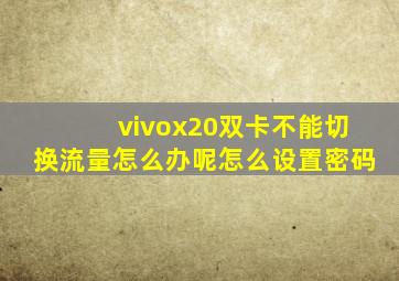 vivox20双卡不能切换流量怎么办呢怎么设置密码