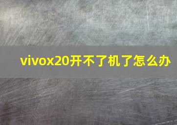 vivox20开不了机了怎么办