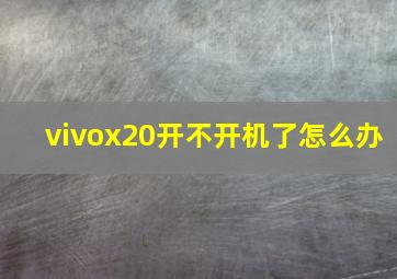 vivox20开不开机了怎么办