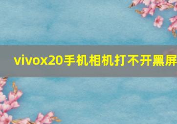 vivox20手机相机打不开黑屏