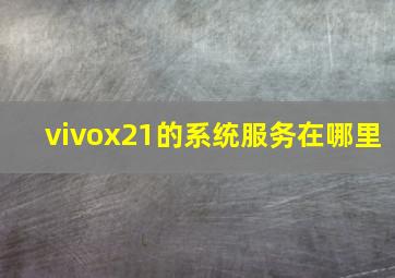 vivox21的系统服务在哪里