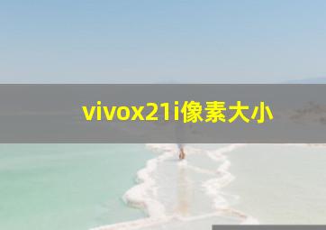 vivox21i像素大小