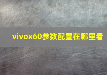 vivox60参数配置在哪里看