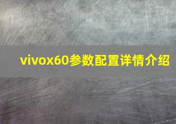 vivox60参数配置详情介绍