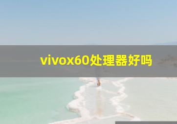 vivox60处理器好吗