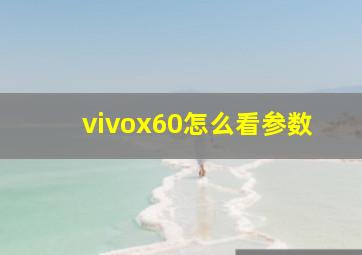 vivox60怎么看参数