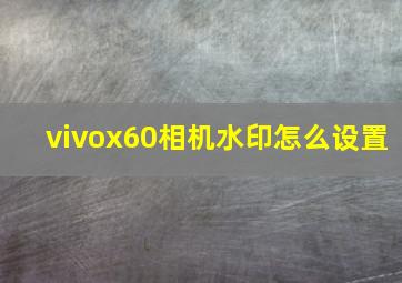 vivox60相机水印怎么设置