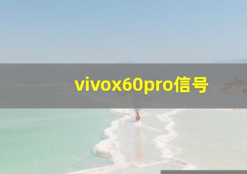 vivox60pro信号