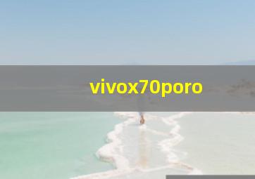 vivox70poro+