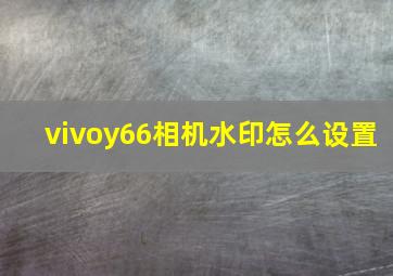 vivoy66相机水印怎么设置