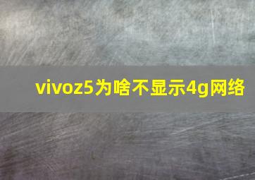 vivoz5为啥不显示4g网络