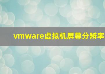 vmware虚拟机屏幕分辨率