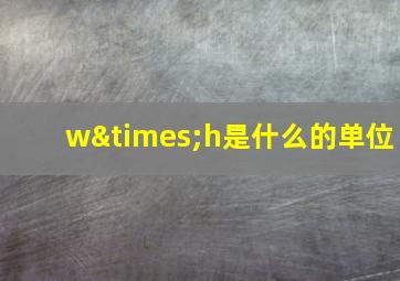 w×h是什么的单位