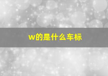 w的是什么车标