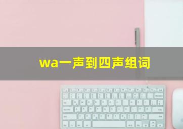 wa一声到四声组词