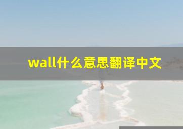 wall什么意思翻译中文