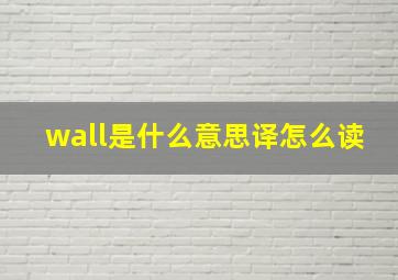 wall是什么意思译怎么读