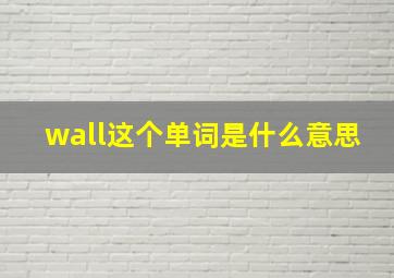 wall这个单词是什么意思