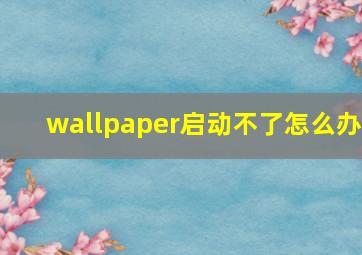 wallpaper启动不了怎么办