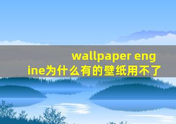 wallpaper engine为什么有的壁纸用不了