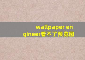 wallpaper engineer看不了预览图