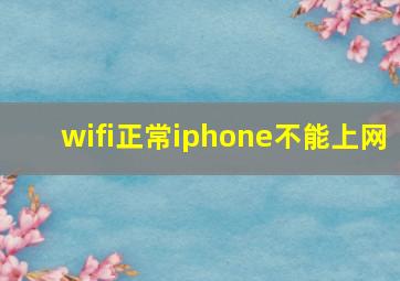 wifi正常iphone不能上网