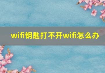 wifi钥匙打不开wifi怎么办