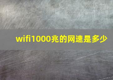 wifi1000兆的网速是多少