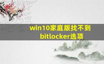 win10家庭版找不到bitlocker选项