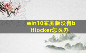 win10家庭版没有bitlocker怎么办