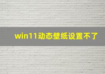 win11动态壁纸设置不了